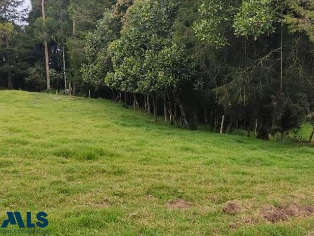 Land in Santa Elena, Medellin, Colombia 1 - 17001999