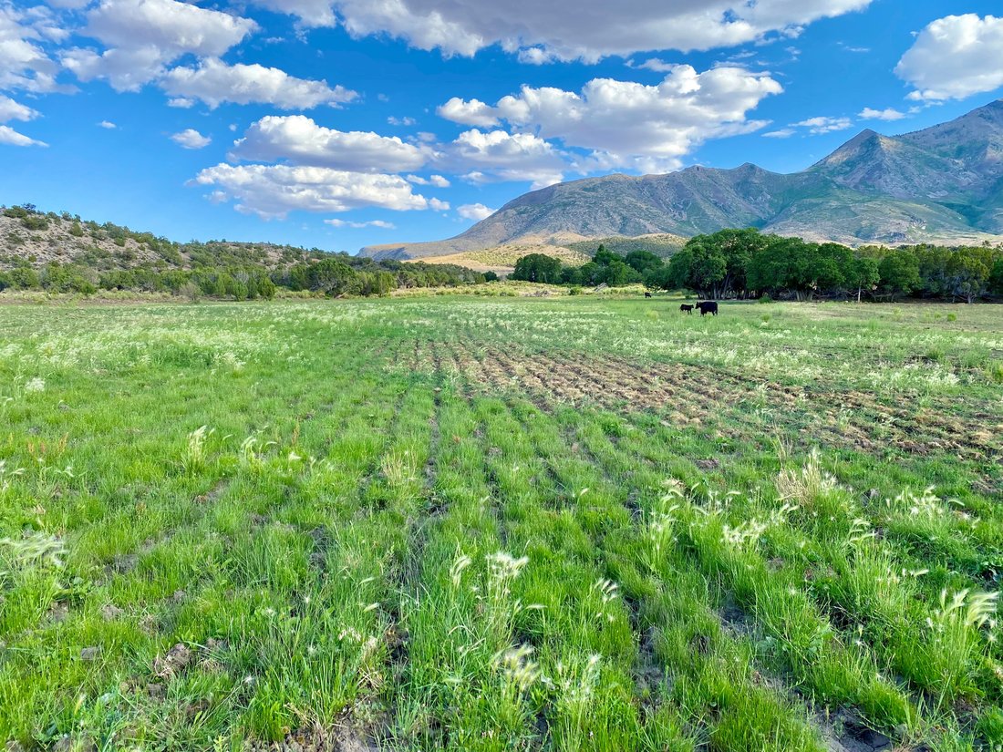 House in Hanksville, Utah, United States 4 - 17001557