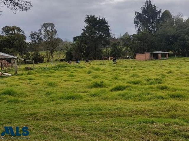 Land in Santa Elena, Medellin, Colombia 2 - 17001999