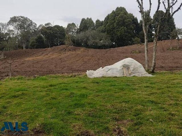 Land in Santa Elena, Medellin, Colombia 5 - 17001999