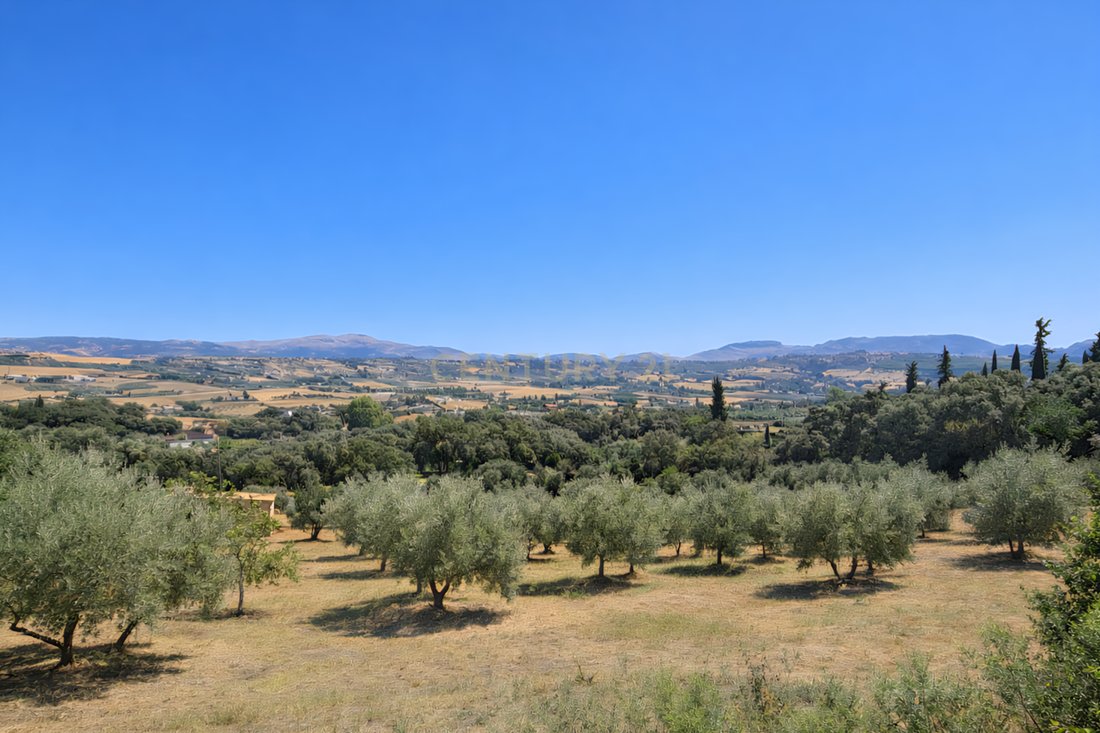 Farm Ranch in Ronda, Andalusia, Spain 5 - 16117236