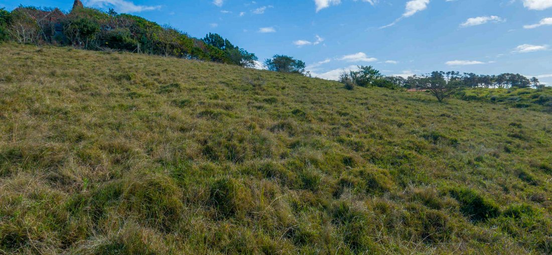 Land in Westbrook, KwaZulu-Natal, South Africa 5 - 17002329
