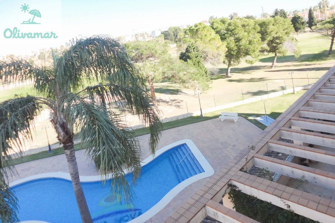 Apartment in Oliva, Valencian Community, Spain 2 - 17002487