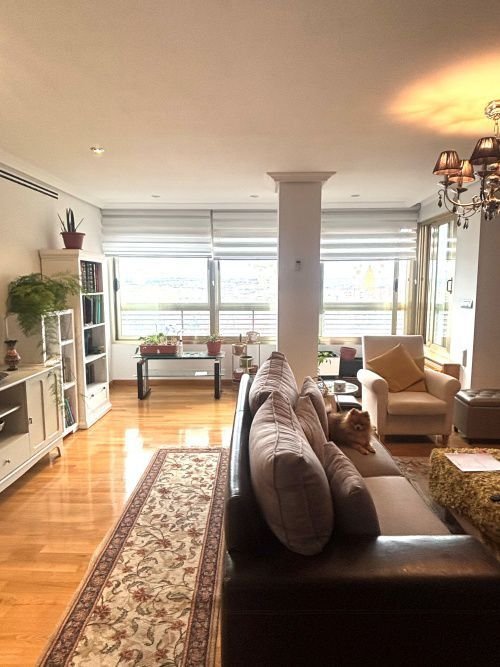 Apartment in Fuencarral-El Pardo, Madrid, Spain 3 - 17002582