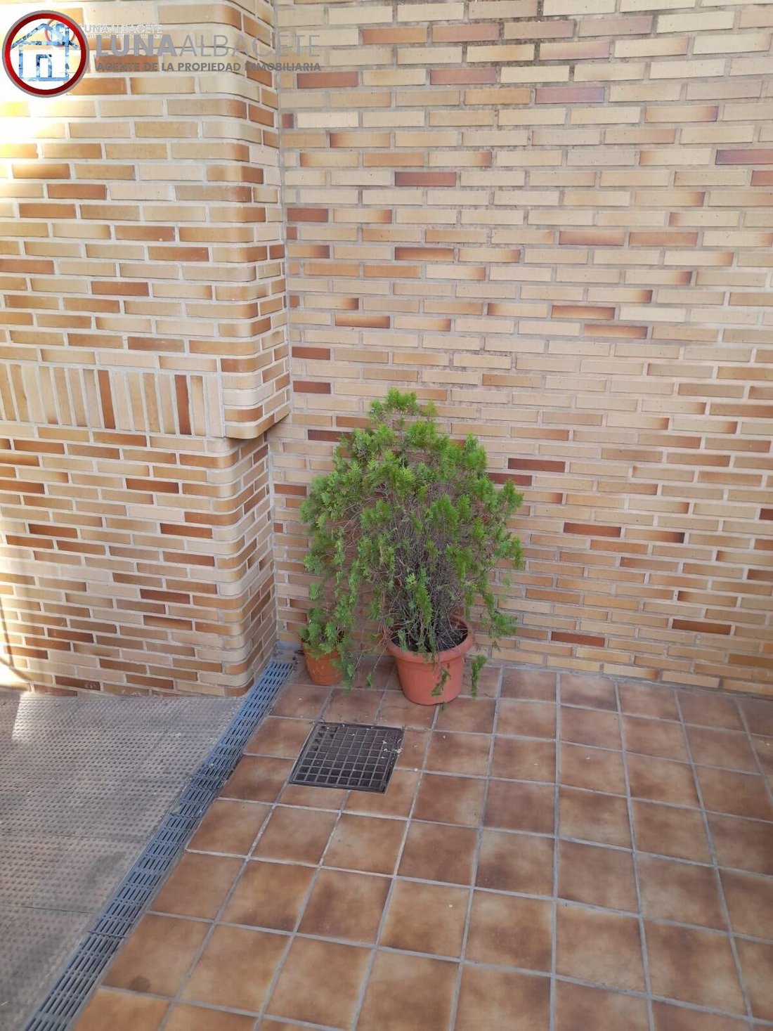 House in Albacete, Castile-La Mancha, Spain 3 - 17002554