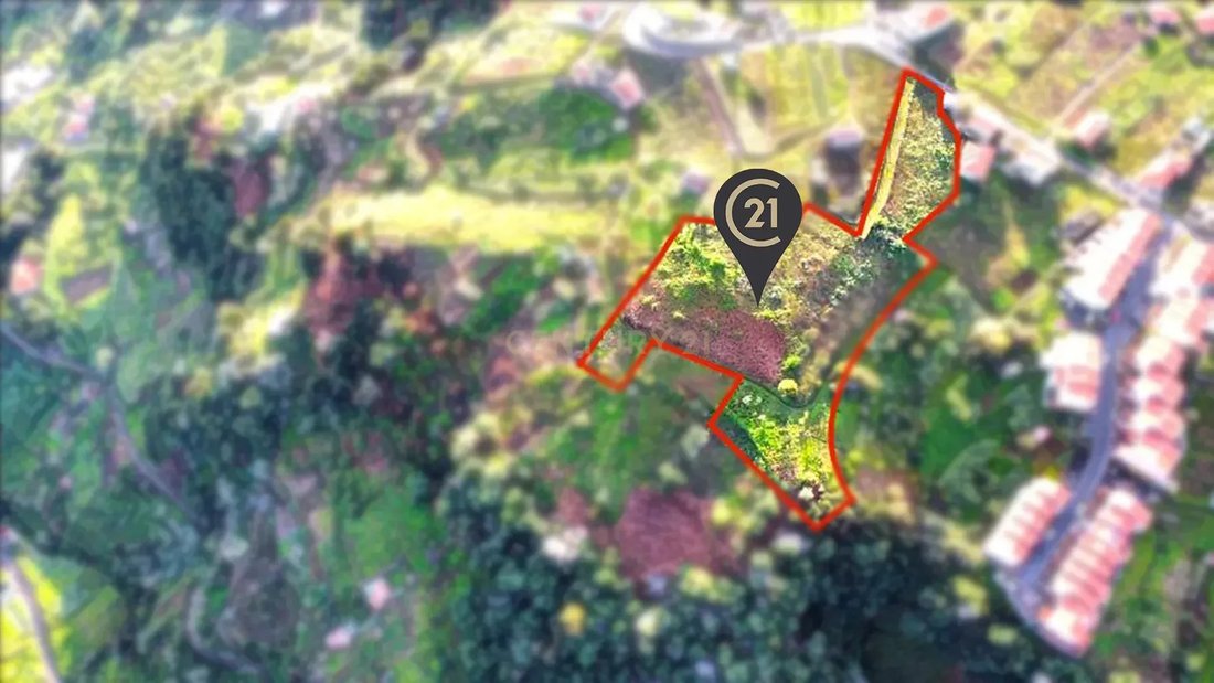 Land in Porto da Cruz, Madeira, Portugal 1 - 13807804