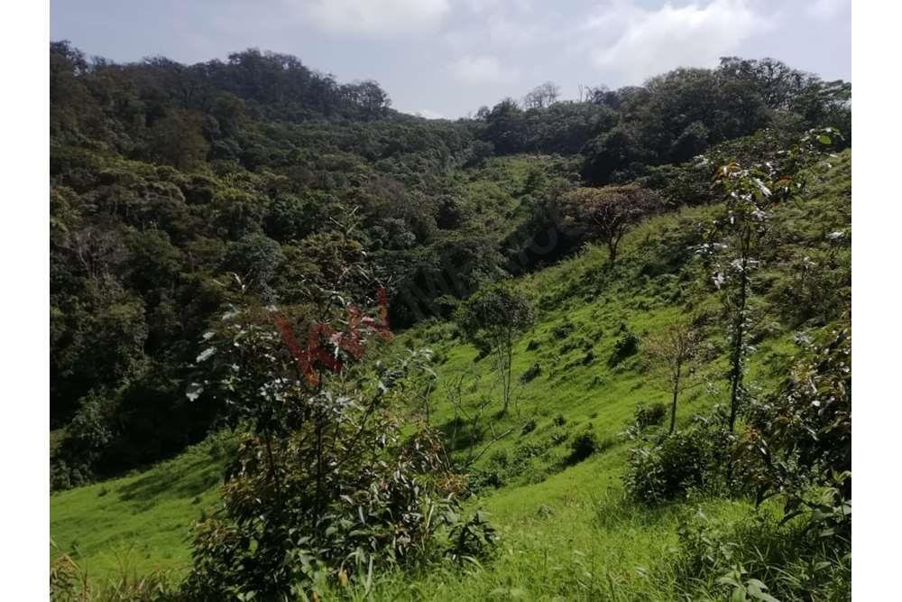 Land in San Fernando, Mexico 4 - 17006301