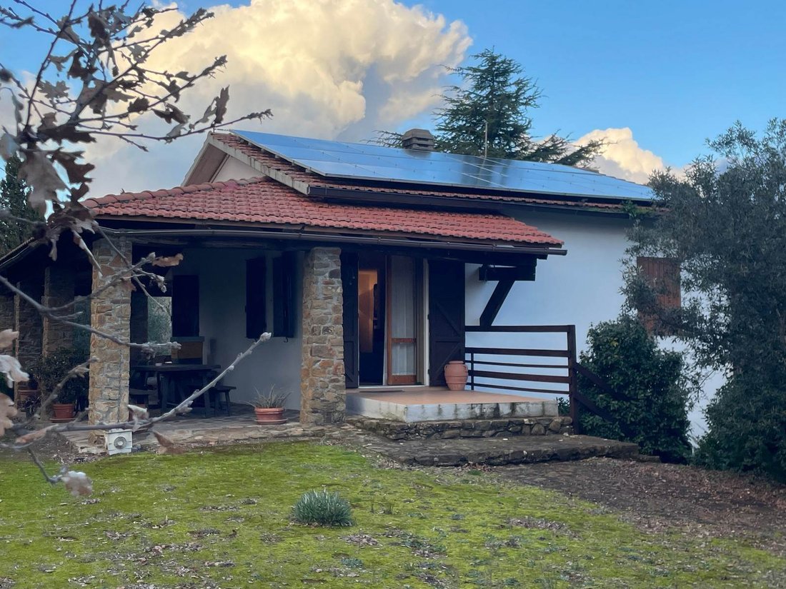 Scansano, Tuscany, Italy 1 - 17006046