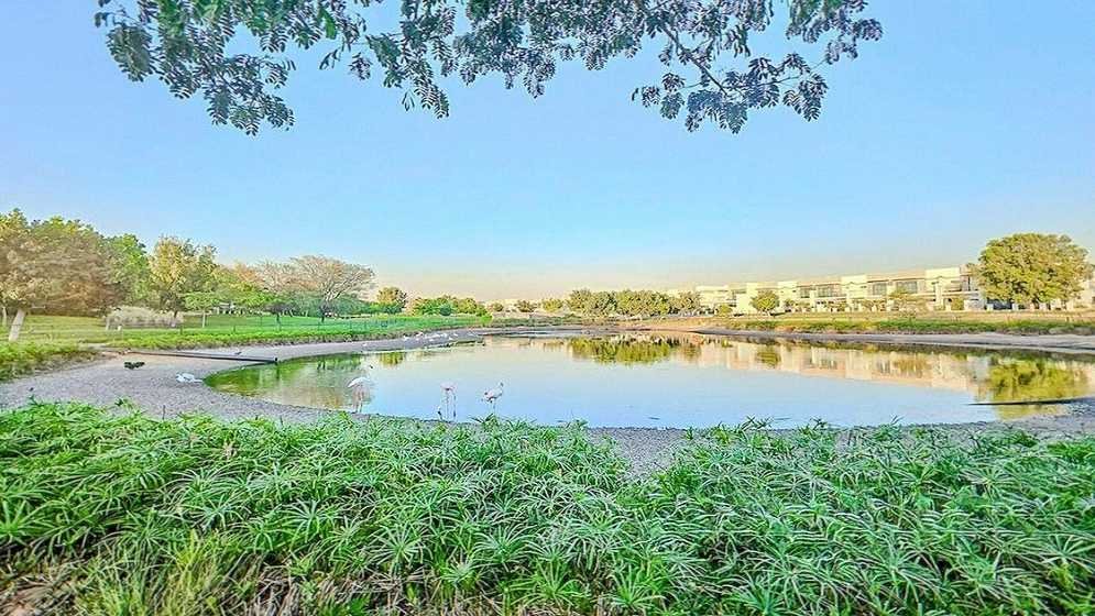 Apartment in Damac Hills, Dubai, United Arab Emirates 2 - 15970788