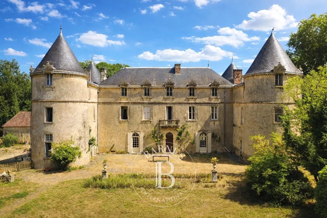 Castle in La Chataigneraie, Pays de la Loire, France 2 - 15982857