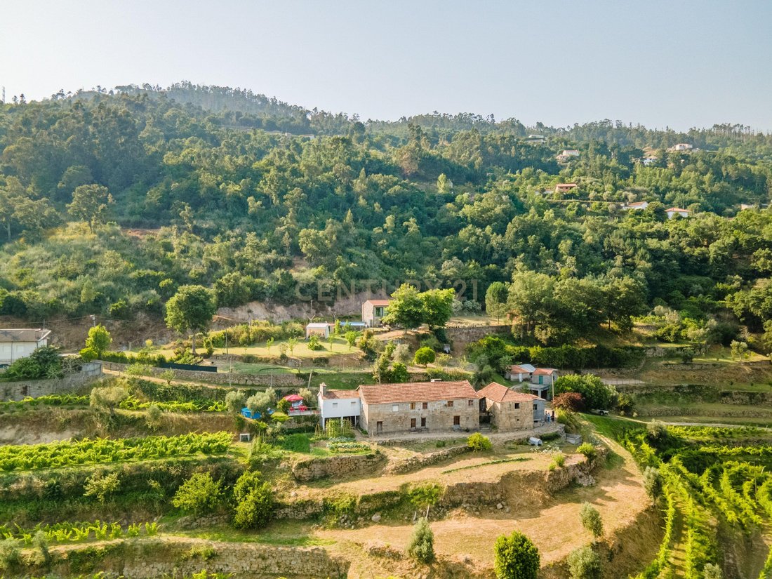 Farm Ranch in Penhalonga e Pacos de Gaiolo, Porto District, Portugal 5 - 15883006