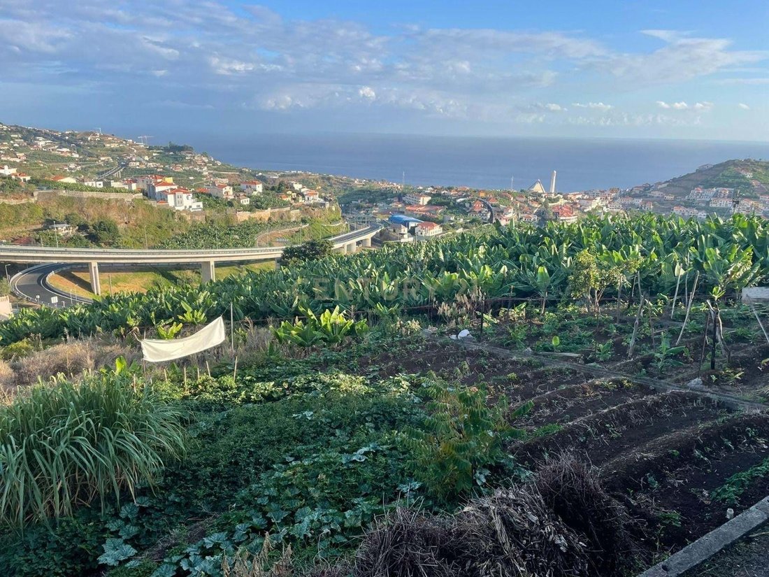 Land in Camara De Lobos, Madeira, Portugal 3 - 13444181