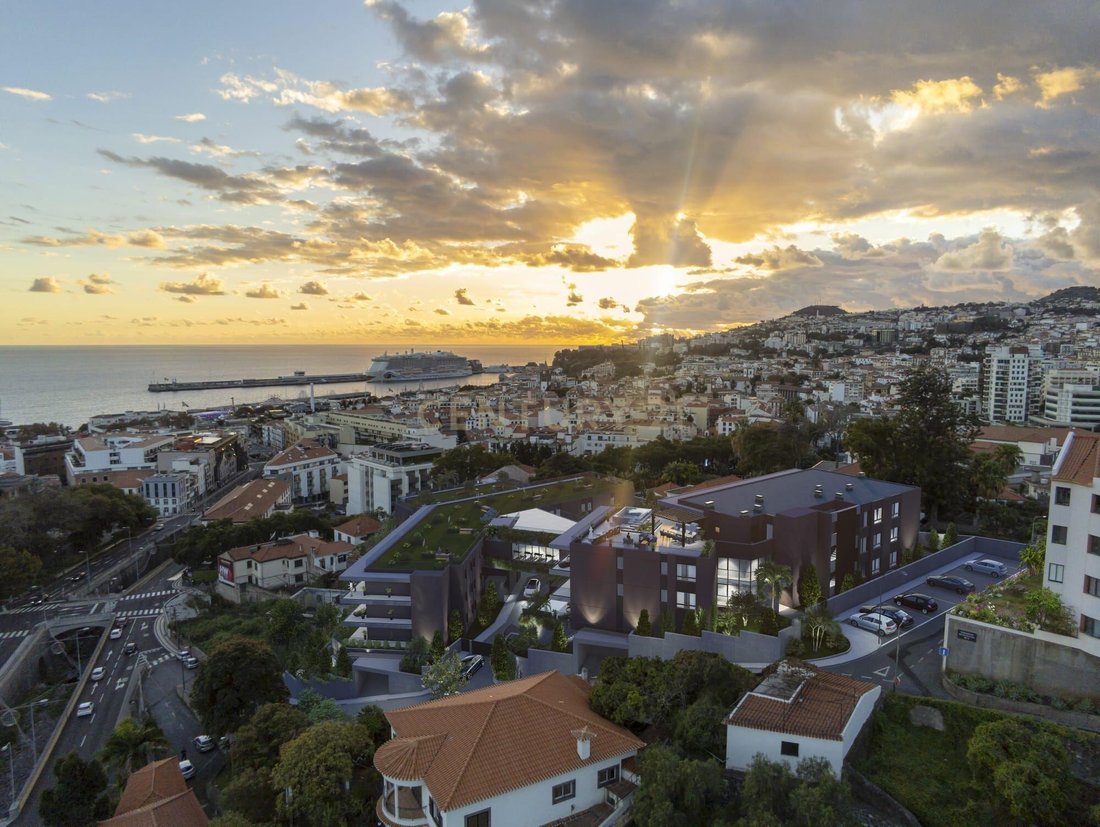 Apartment in Santa Luzia, Madeira, Portugal 3 - 15939473