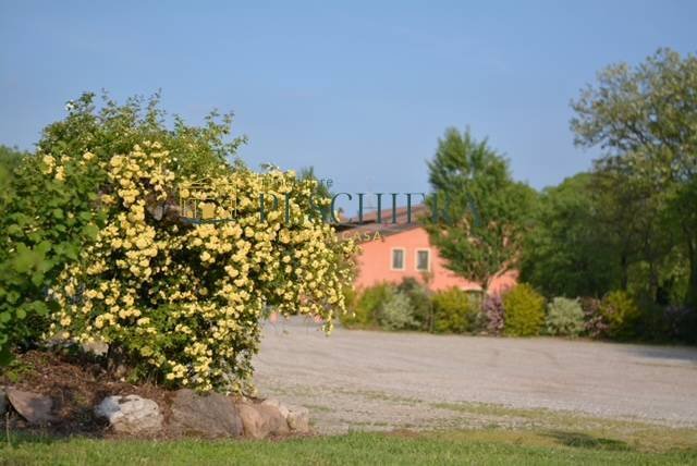 Farm Ranch in Valeggio sul Mincio, Veneto, Italy 2 - 17006635