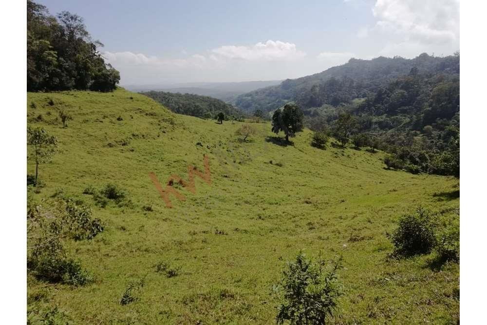 Land in San Fernando, Mexico 3 - 17006301