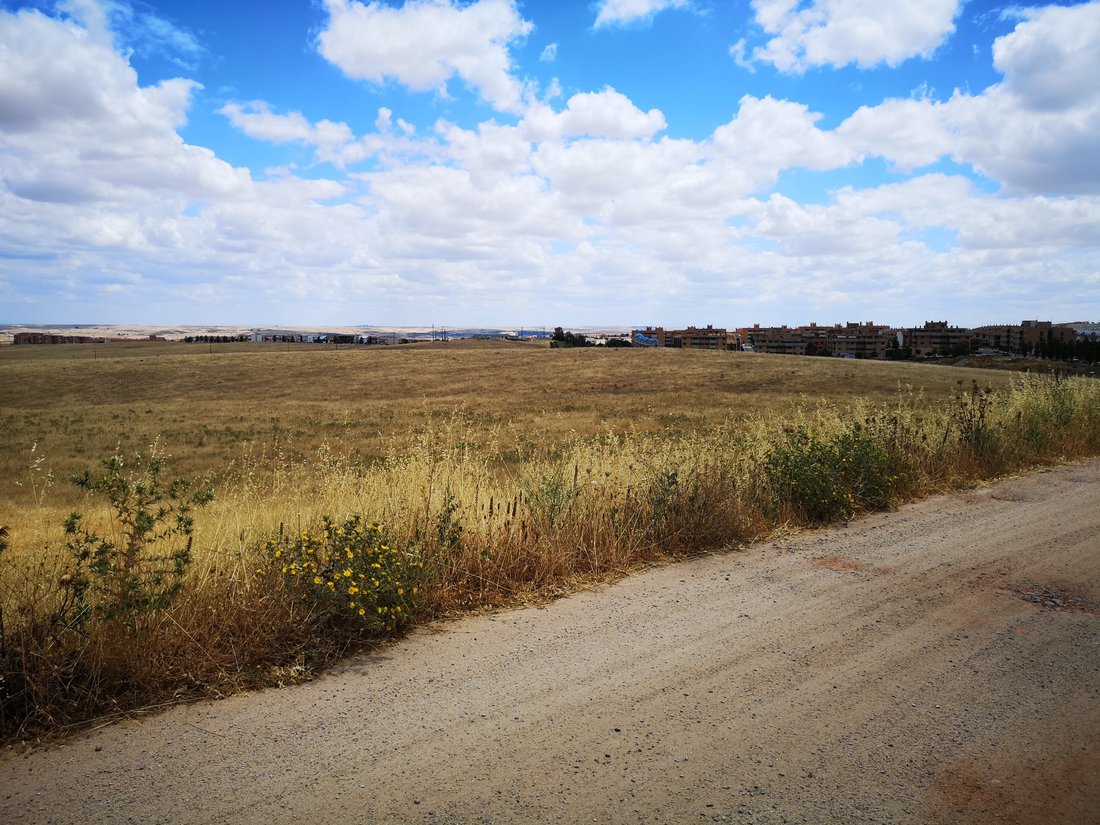 Land in Cáceres, Extremadura, Spain 3 - 14795632