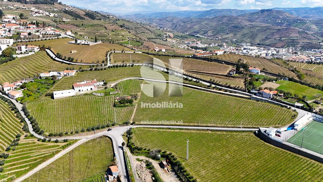 Farm Ranch in Fontelas, Vila Real District, Portugal 1 - 17003151