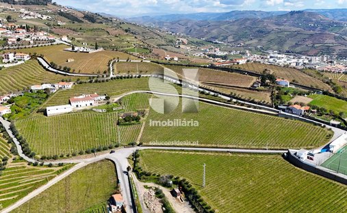 Land in Fontelas, Vila Real, Portugal 1