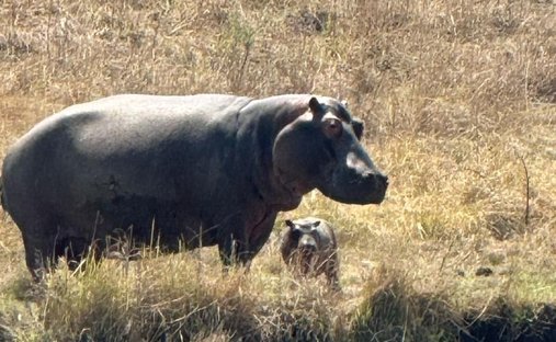 Farm Ranch in Mafube, Freistaat, Südafrika 1
