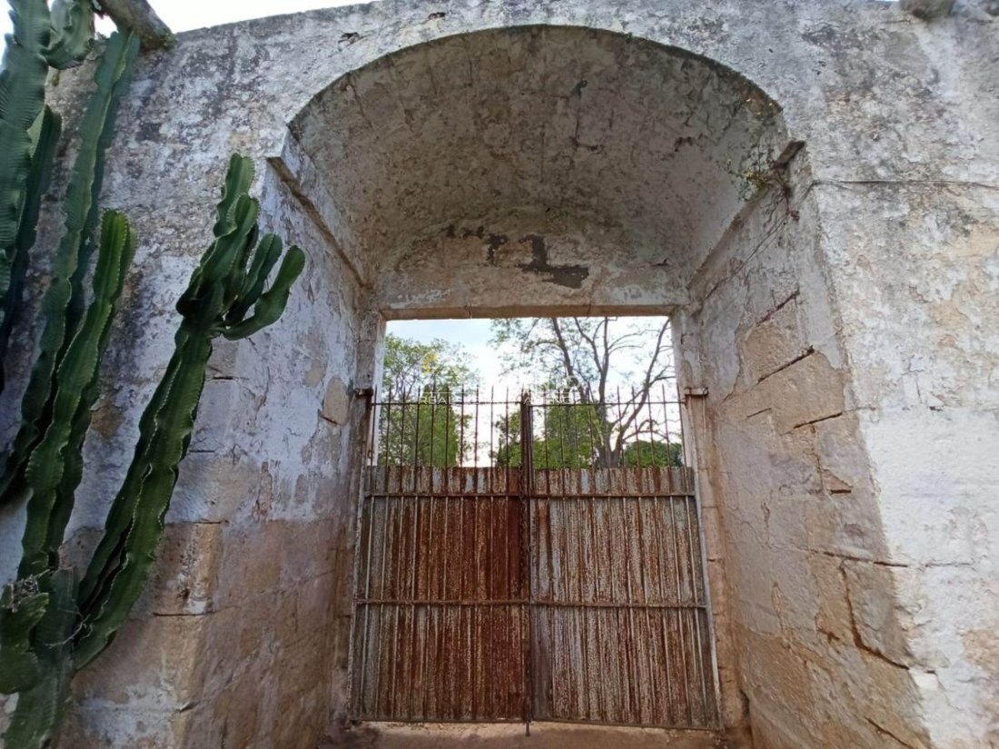 Estate in Carovigno, Apulia, Italy 4 - 17004770