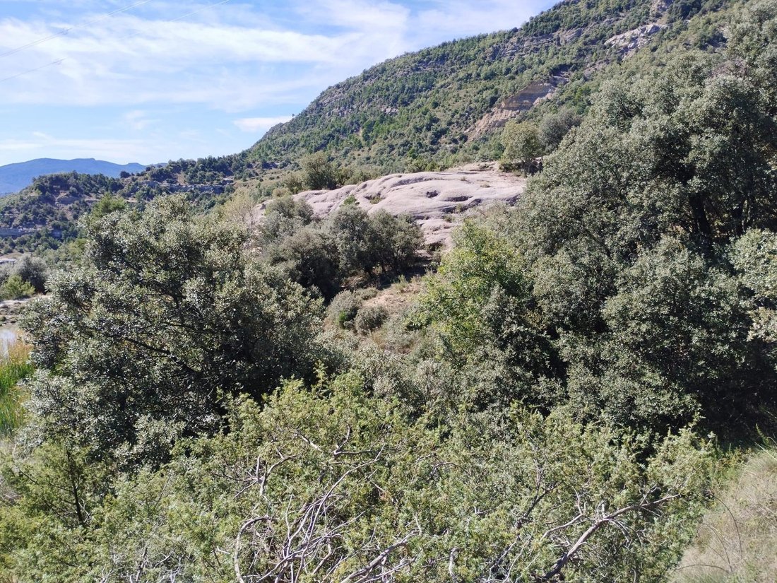 Land in Graus, Aragon, Spain 4 - 17005547
