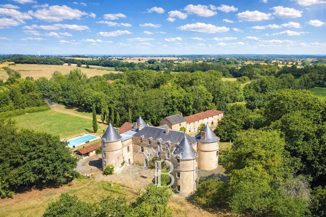 Castle in La Chataigneraie, Pays de la Loire, France 3 - 15982857