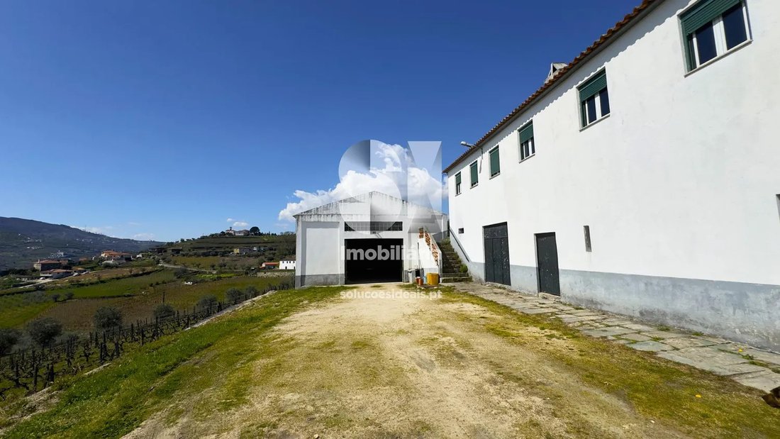 Farm Ranch in Fontelas, Vila Real District, Portugal 4 - 17003151