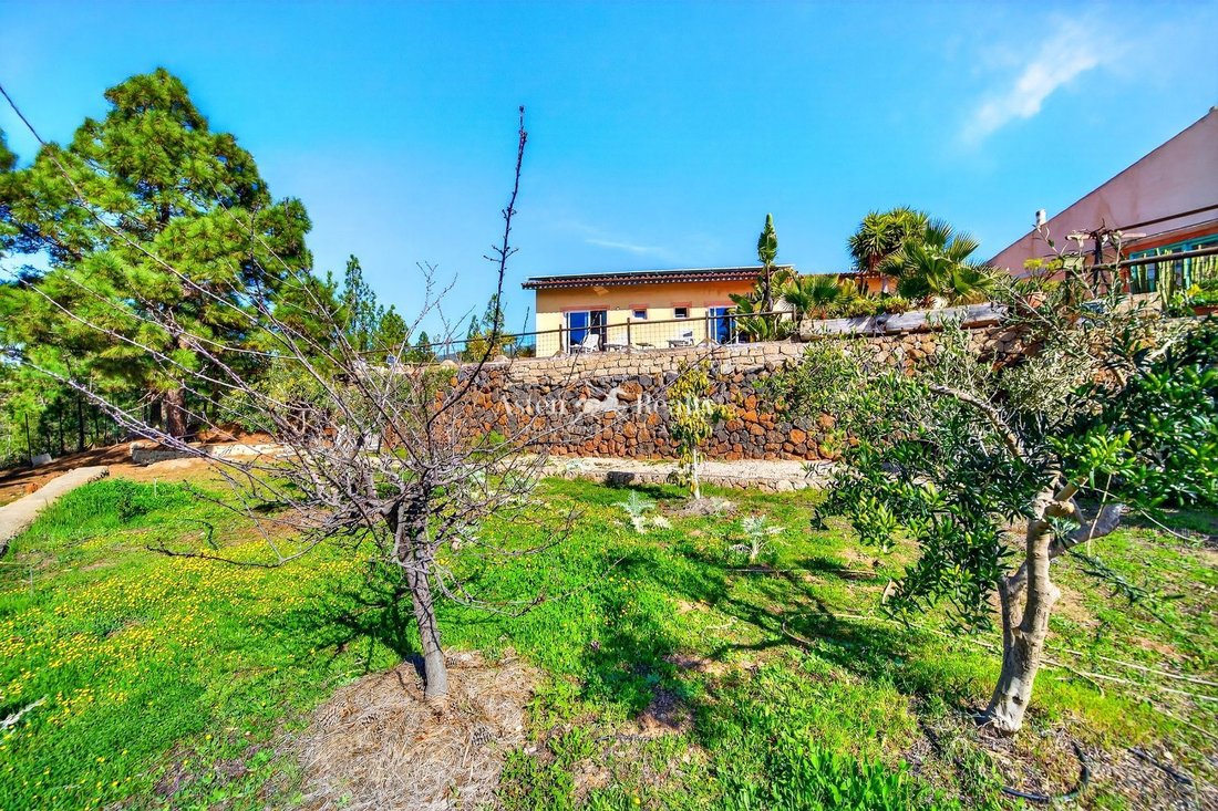 Finca in Vilaflor, Canary Islands, Spain 3 - 17003529