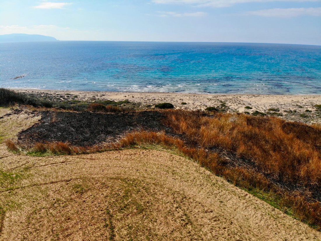 Terrain à Elios-Proni, Peloponnese, Western Greece and the Ionian, Grèce 1 - 17003114