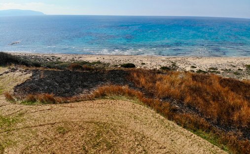Terreno a Elios-Proni, Peloponnese, Western Greece and the Ionian, Grecia 1