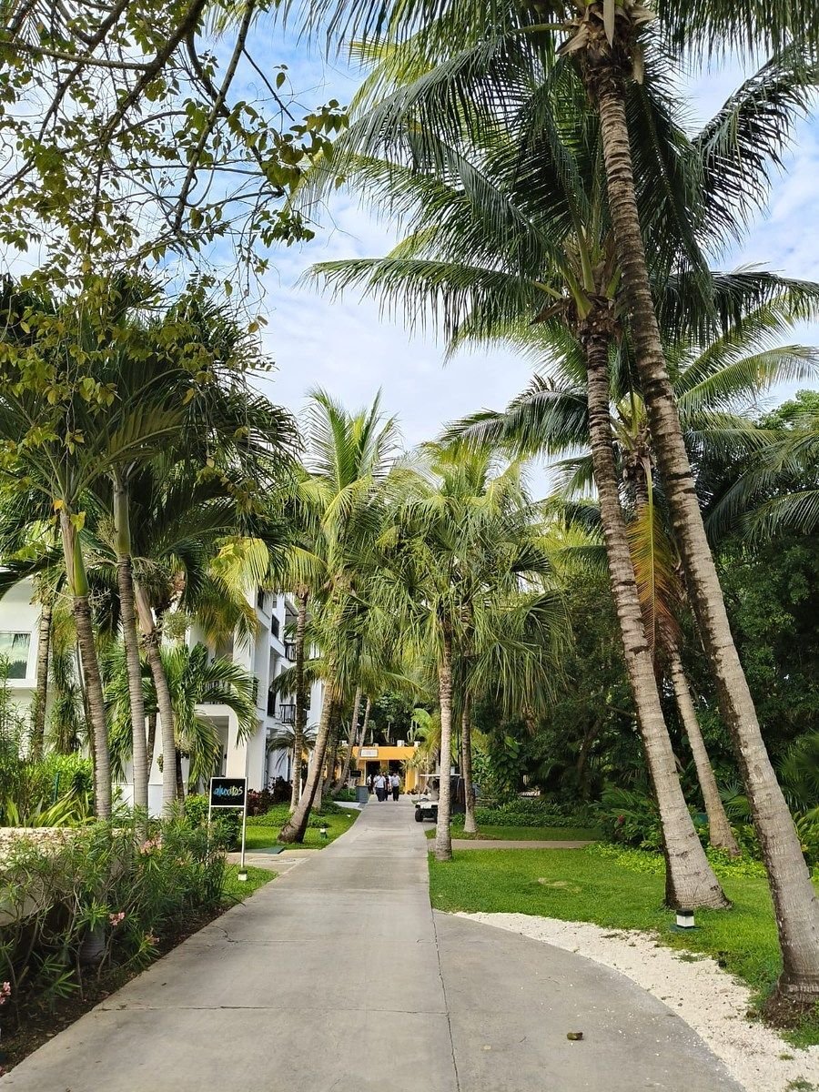 Apartment in Playa del Carmen, Quintana Roo, Mexico 2 - 17006161