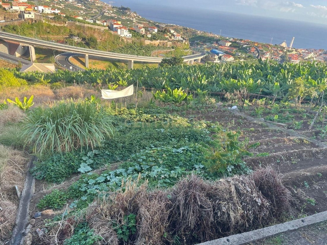 Land in Camara De Lobos, Madeira, Portugal 5 - 13444181
