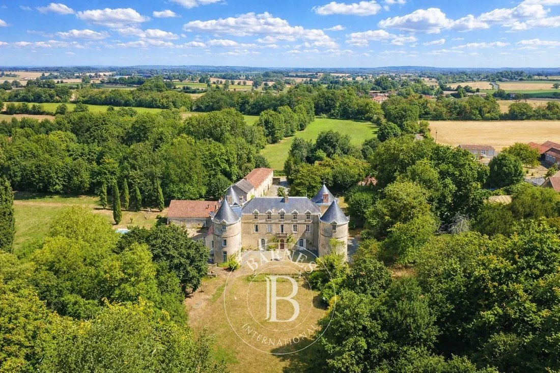 Castle in La Chataigneraie, Pays de la Loire, France 4 - 15982857