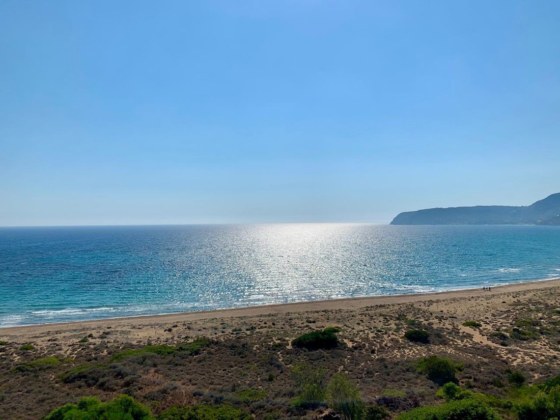 Terrain à Elios-Proni, Peloponnese, Western Greece and the Ionian, Grèce 4 - 17003114