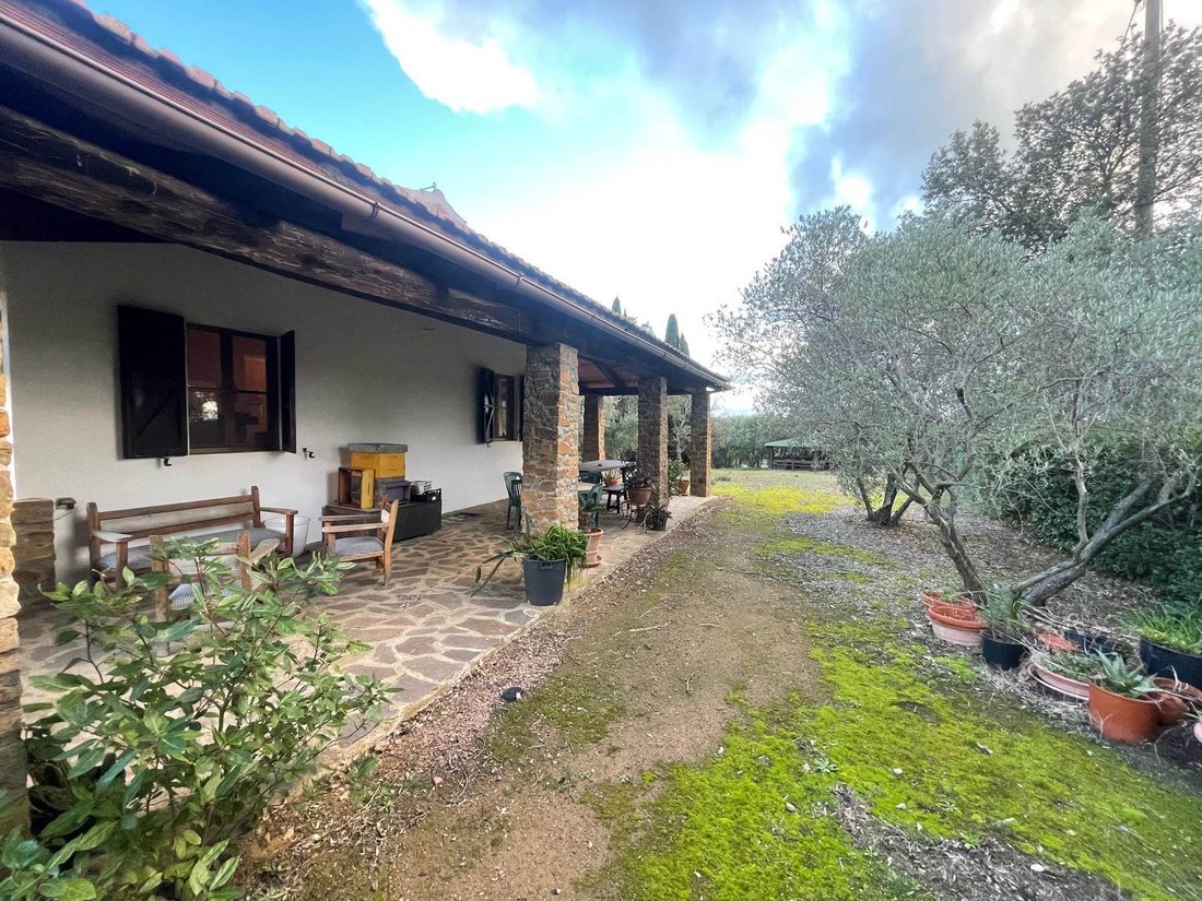 Scansano, Tuscany, Italy 4 - 17006046