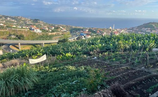 Terrain à Câmara de Lobos, Madère, Portugal 1