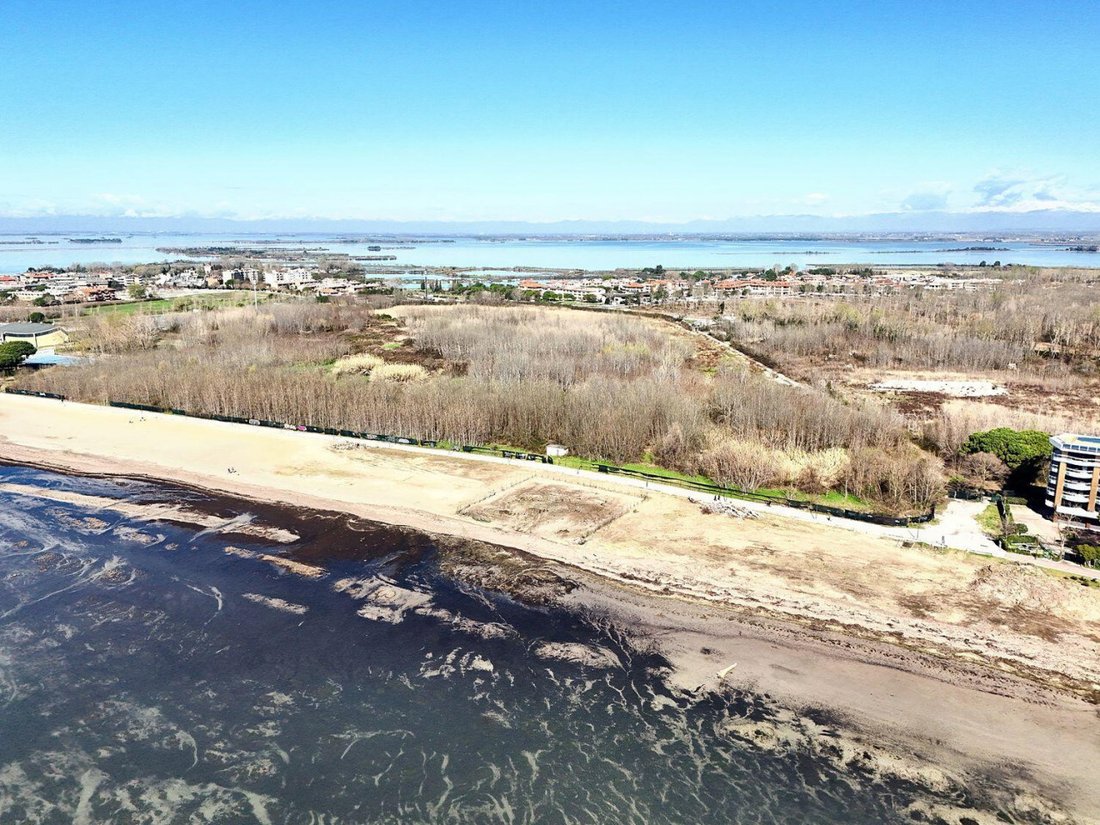 Land in Island of Grado, Friuli – Venezia Giulia, Italy 3 - 17006279