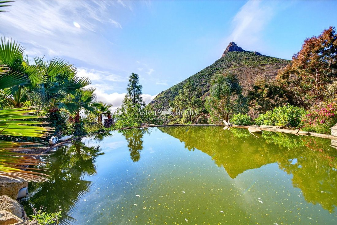 Finca in Vilaflor, Canary Islands, Spain 1 - 17003529
