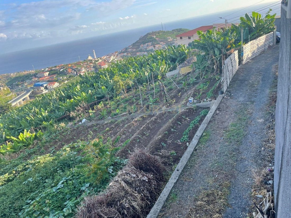 Land in Camara De Lobos, Madeira, Portugal 2 - 13444181