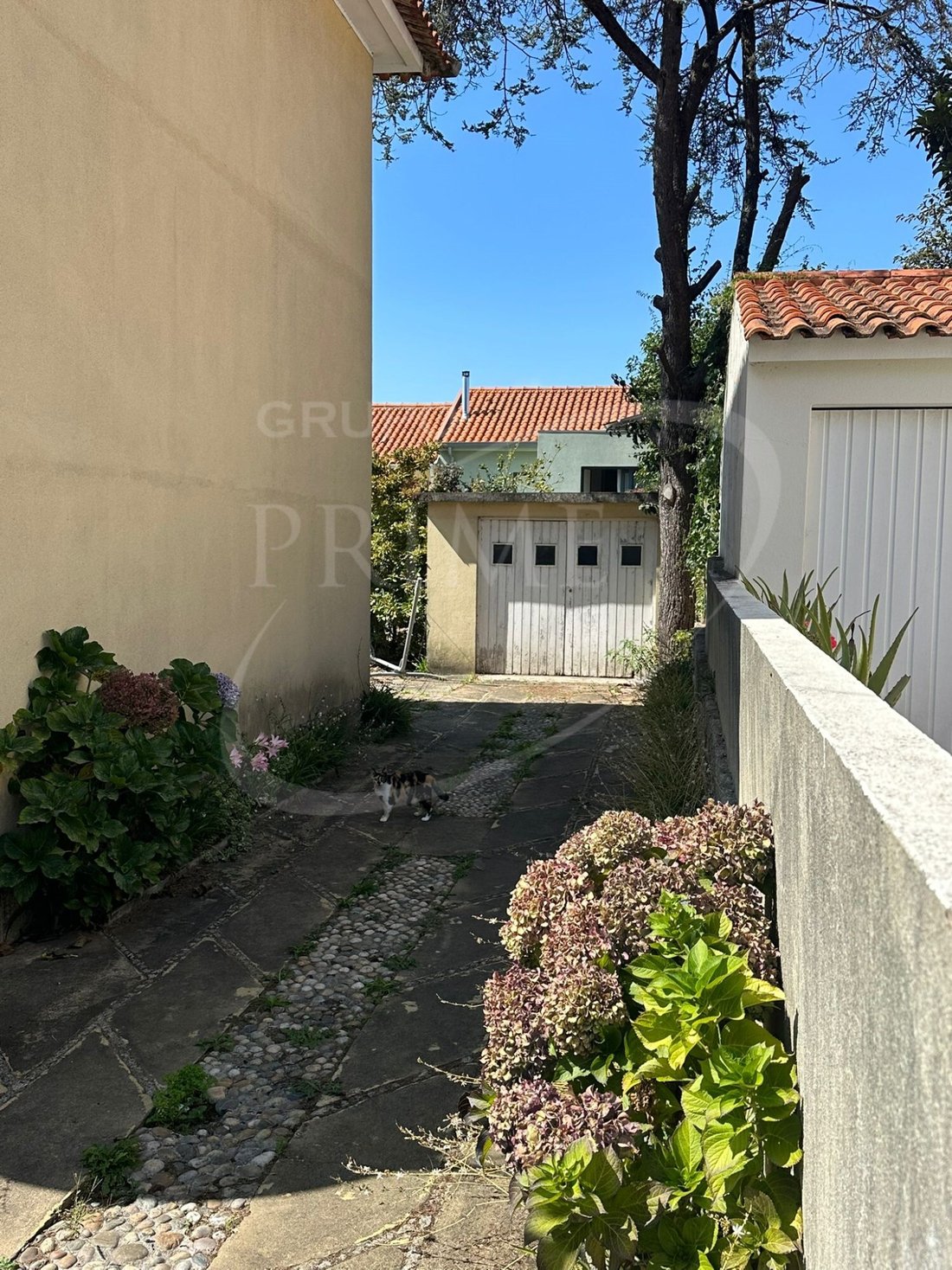House in Aldoar, Foz do Douro e Nevogilde, Porto District, Portugal 5 - 16995627