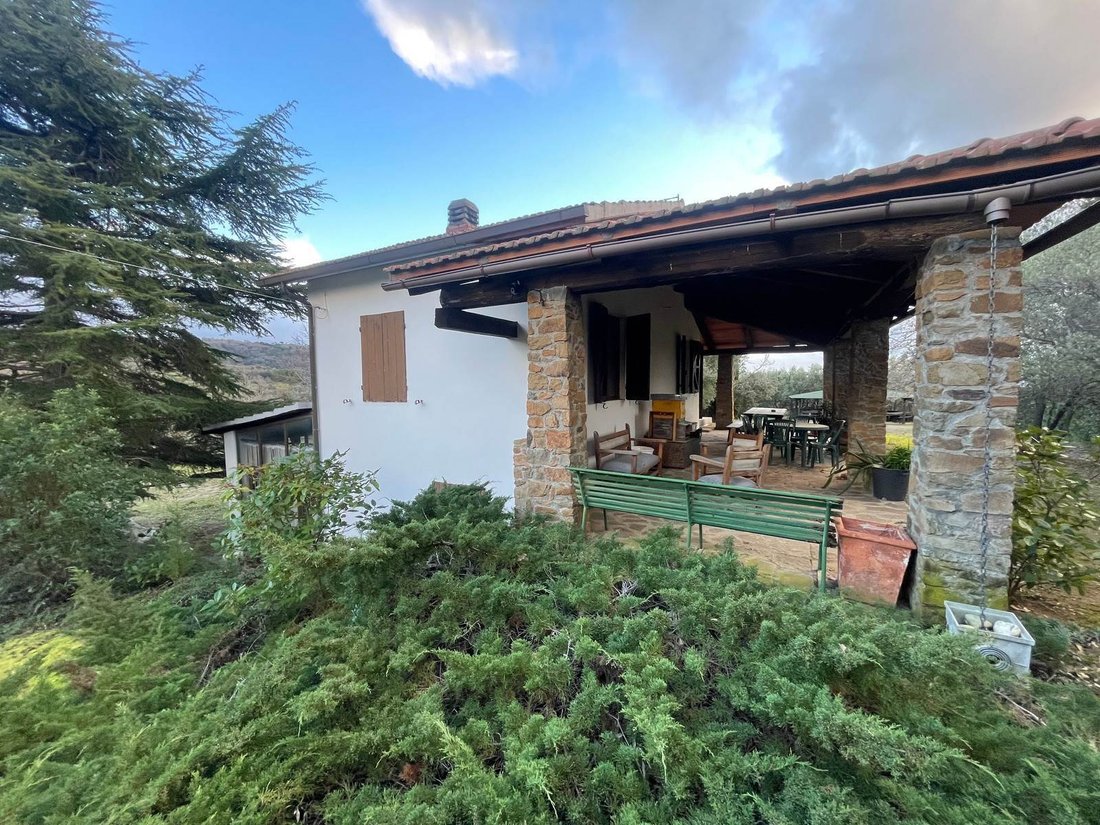 Scansano, Tuscany, Italy 2 - 17006046