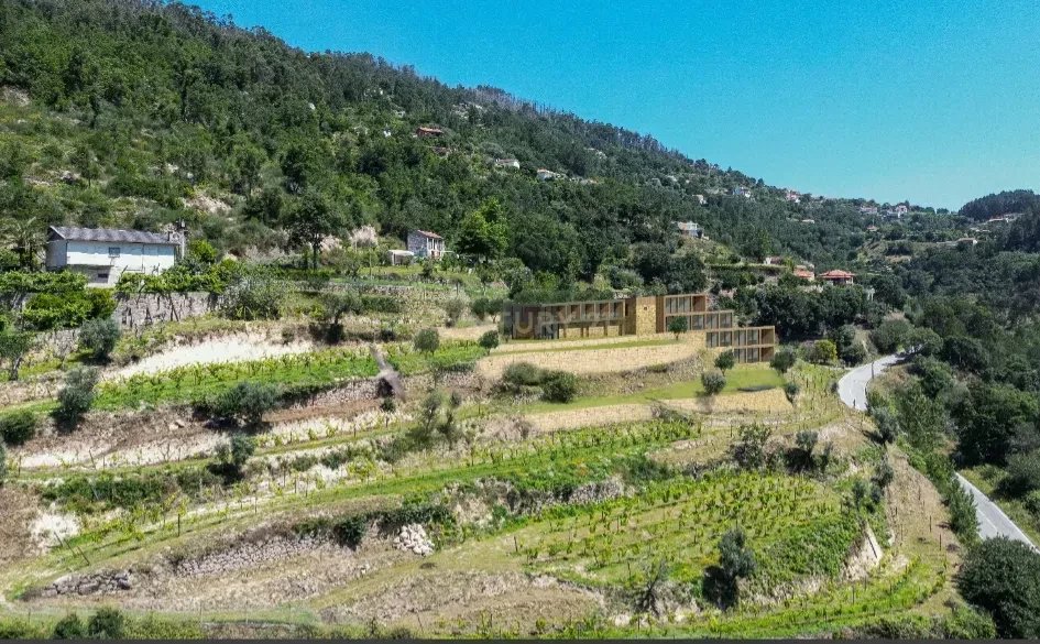 Farm Ranch in Penhalonga e Pacos de Gaiolo, Porto District, Portugal 4 - 15883006