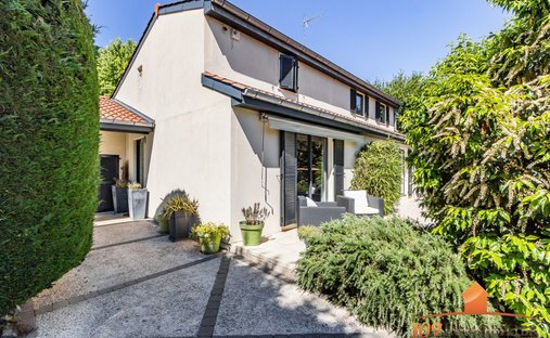 Villa in Limas, Auvergne-Rhône-Alpes, France 1