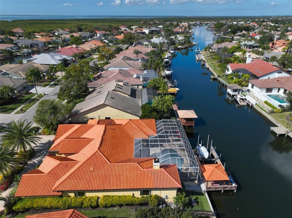 House in Tampa, Florida, United States 2 - 16952988