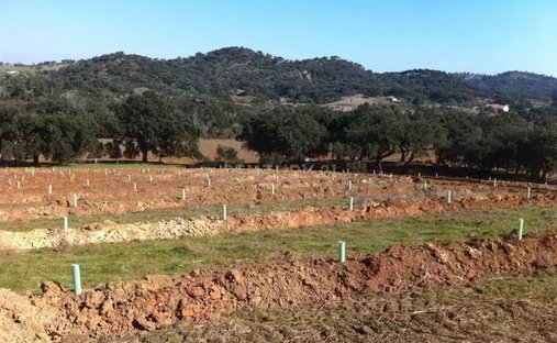 Farm Ranch in Colos, Beja District, Portugal 1
