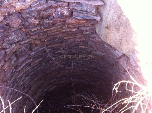 Farm Ranch in Colos, Beja District, Portugal 5 - 12684515