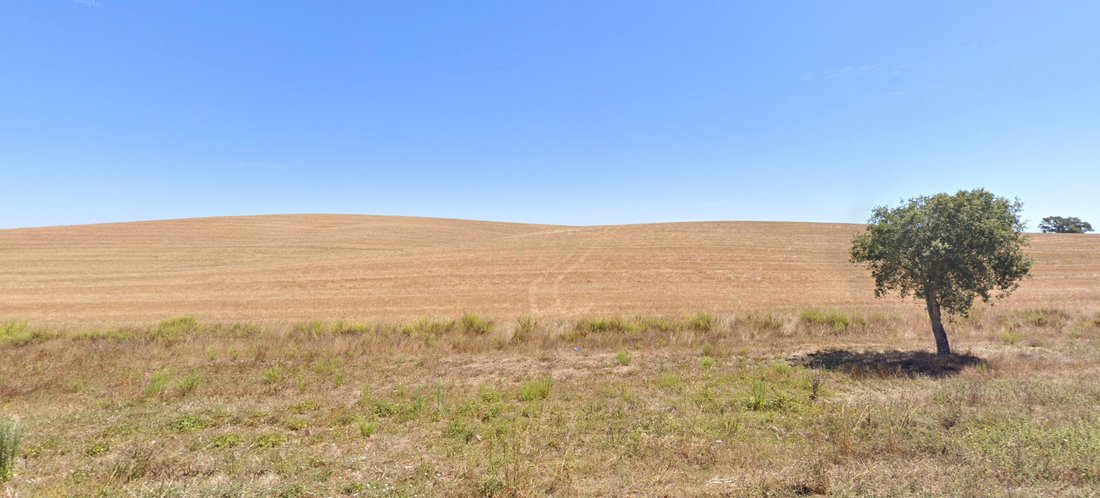 Farm Ranch in Cercal, Setubal, Portugal 1 - 12684522