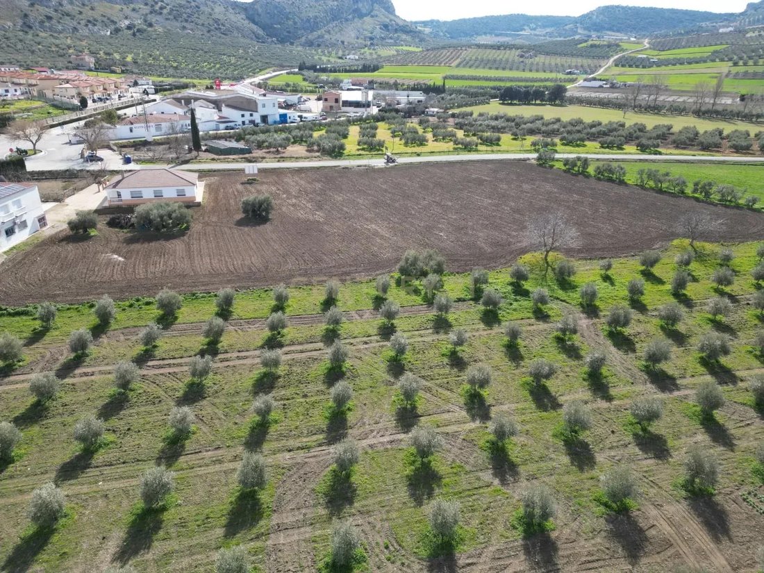 Land in Cuevas del Becerro, Andalusia, Spain 4 - 14456326