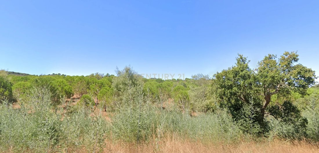 Farm Ranch in Cercal, Setubal, Portugal 1 - 12675786