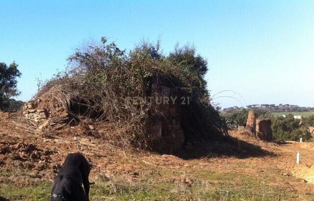 Farm Ranch in Colos, Beja District, Portugal 2 - 12684515